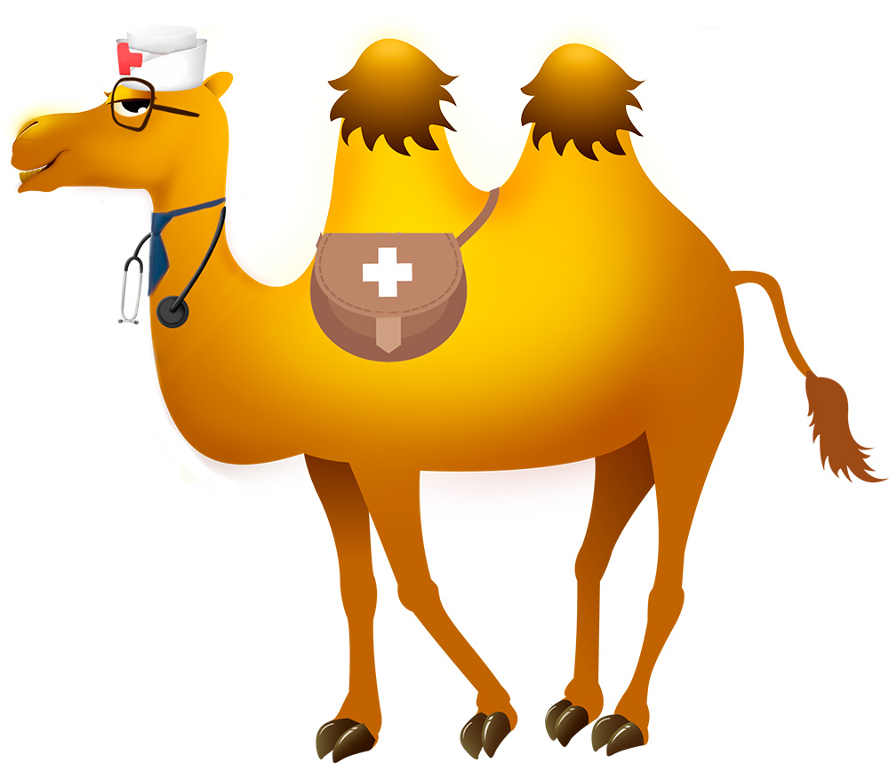 WiseSorbent® Camel Pharmaceutical Desiccants