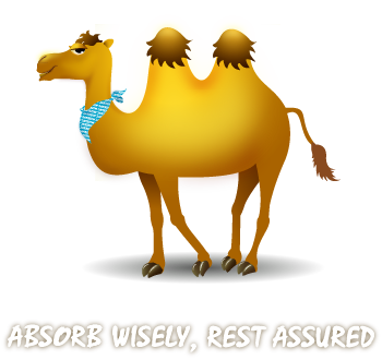 Absorb Wisely, Rest Assured